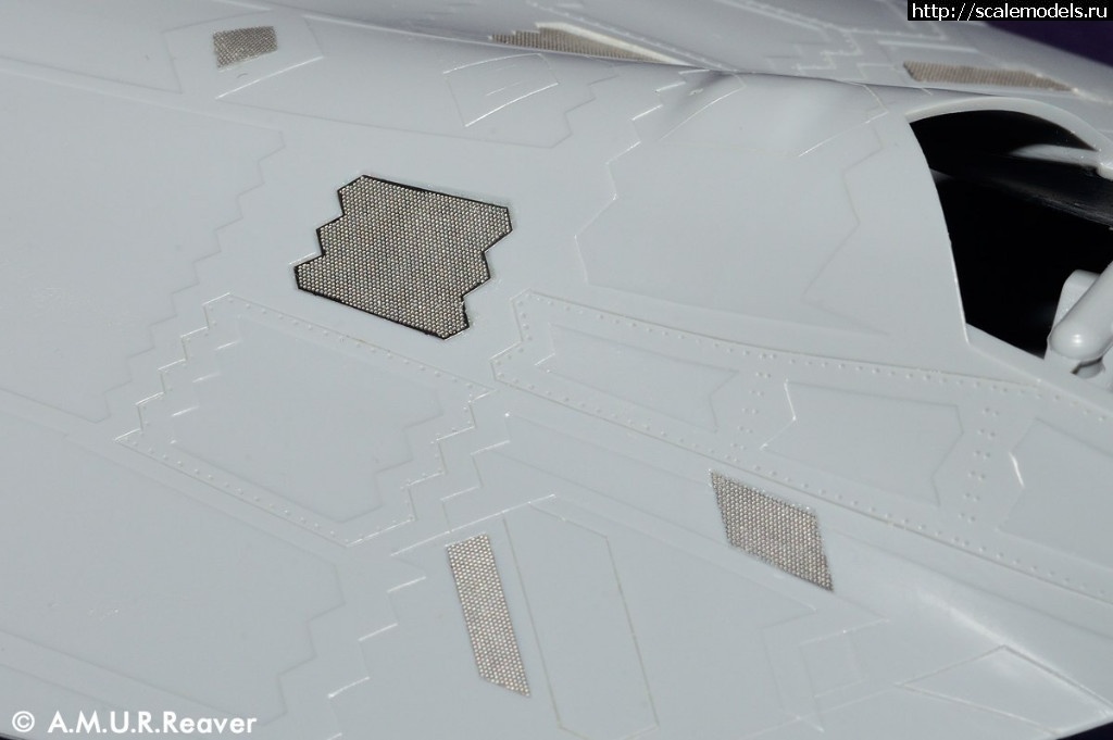 1541844079_PE4827_02.jpg : A.M.U.R.Reaver    F-22 Raptor  1/48  