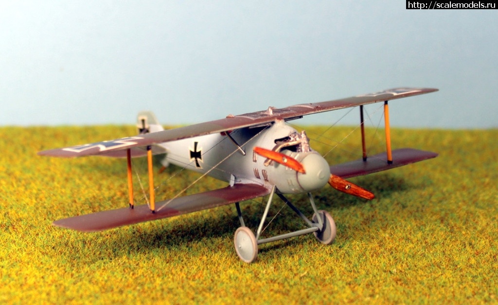 1543606261_14.JPG : #1519440/ Roland D.II Pegasus 1/72   