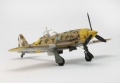 Hasegawa 1/48 Macchi C.202 -  ?