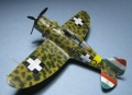 Special hobby 1/72 MAVAG Hejja II -    ,   