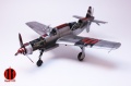 Tamiya/Aires 1/48 Dornier Do-335 -  