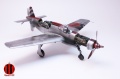 Tamiya/Aires 1/48 Dornier Do-335 -  