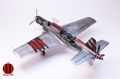 Tamiya/Aires 1/48 Dornier Do-335 -  