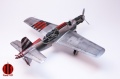 Tamiya/Aires 1/48 Dornier Do-335 -  