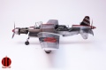 Tamiya/Aires 1/48 Dornier Do-335 -  