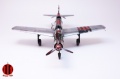 Tamiya/Aires 1/48 Dornier Do-335 -  