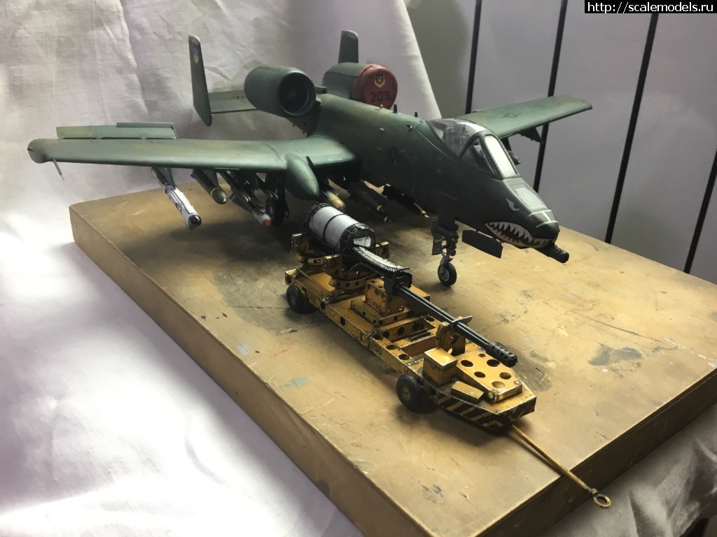 1546850650_8C99D1C5-A58F-408B-9707-7B3CB27413FE.jpeg : Re: HobbyBoss 1/48 Fairchild Republik A-10 Thunderbolt II Wa/ HobbyBoss 1/48 Fairchild Republik A-...(#12727) -   