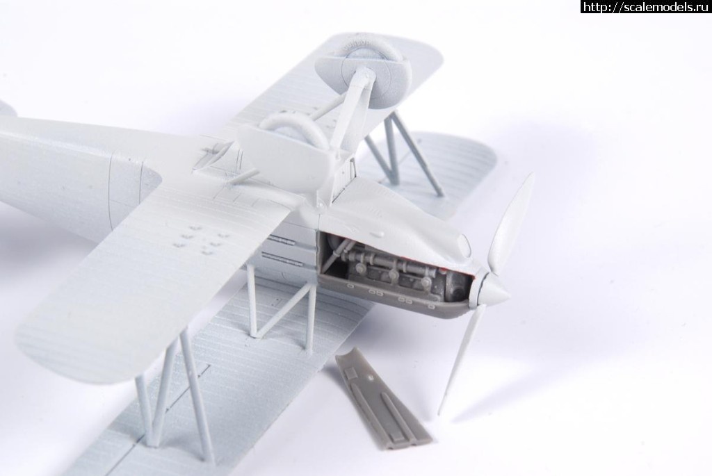 1547937633_17.jpg :  Special Hobby & CMK -  2019  