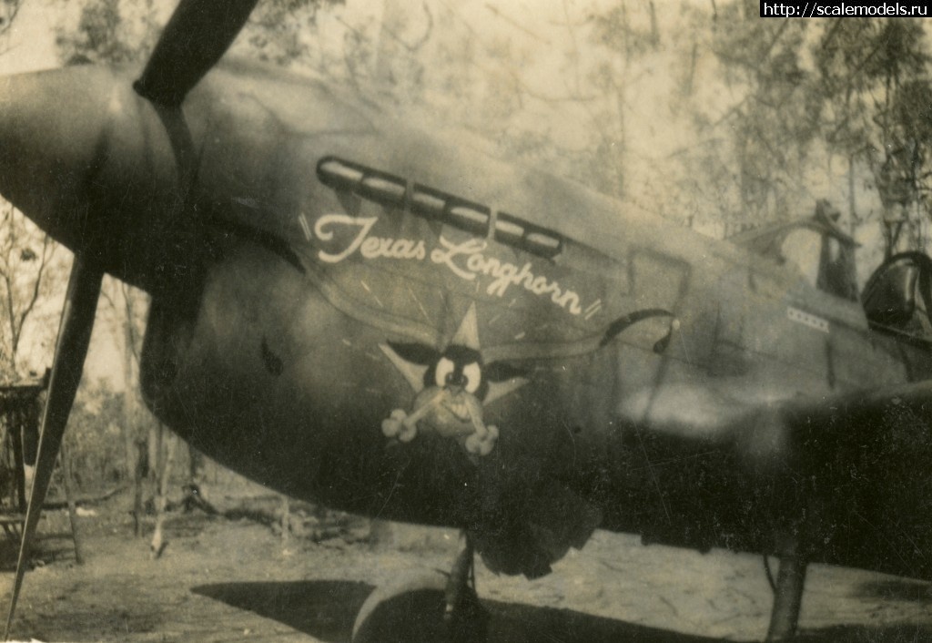 1548223852_texas-longhorn.jpg : #1530826/ Curtiss P-40E 1/32 Hasegawa  