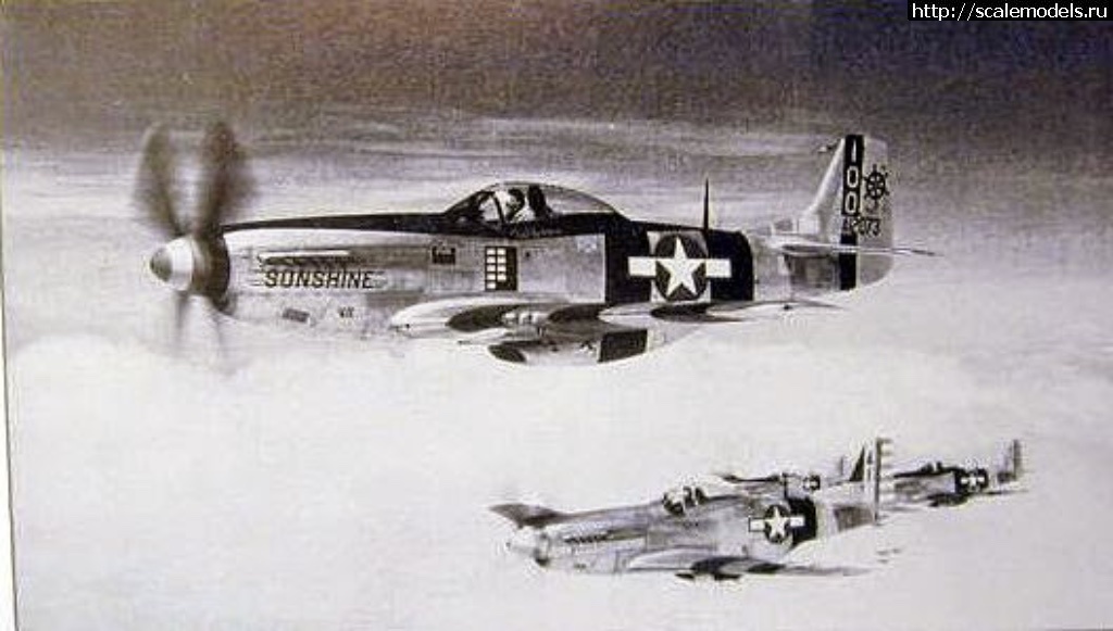 1548829483_17.jpg : P-51K Hasegawa 1/72   