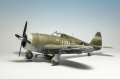 Tamiya 1/48 P-47 