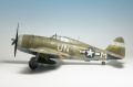 Tamiya 1/48 P-47 