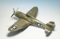 Tamiya 1/48 P-47 