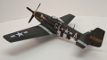 Tamiya 1/72 P-51D Mustang Maj. Arval J.Roberson