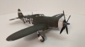 Tamiya 1/72 P-47D Thunderbolt Razorback  Lt R. Parker