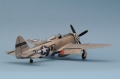 Tamiya 1/48 P-47D Thunderbolt Bubbletop