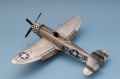 Tamiya 1/48 P-47D Thunderbolt Bubbletop