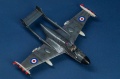 CMR 1/72 De Havilland Sea Venom FAW.22 -   -