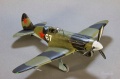 Trumpeter 1/48 -3