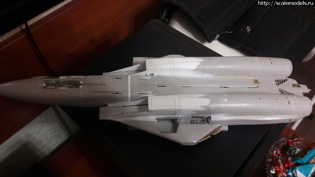 1549513521_20190206_225605.jpg : #1534668/  F-14A 1:48 Hasegawa  