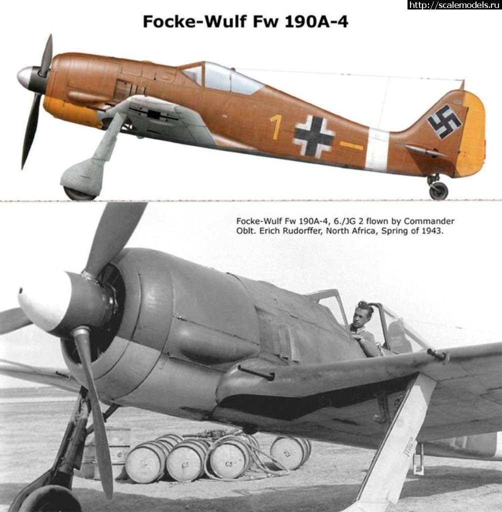 1549818178_d7407554d7e418a1ee229287a84b0326.jpg : #1535435/ FW-190A-4  1/48  