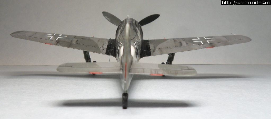 1550176398_SAM_6460.JPG : #1536476/ Fw-190 A-8/R2 1/72 Eduard   