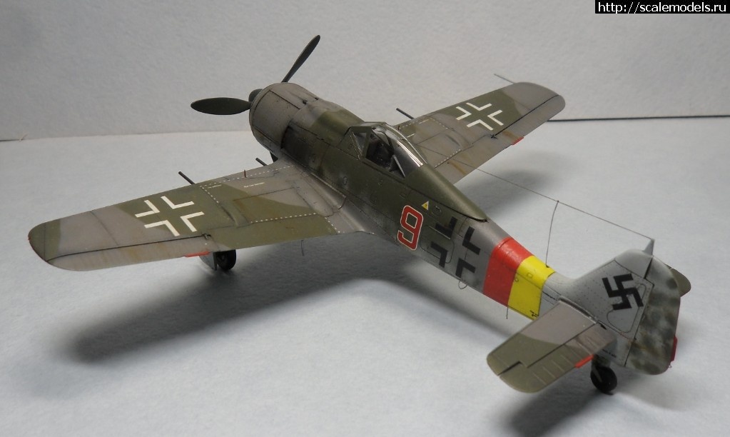 1550177889_SAM_6155.JPG : #1536480/ Fw-190 A-8 1/72 Eduard -   