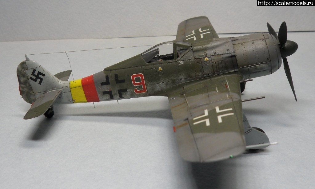 1550177890_SAM_6158.JPG : #1536480/ Fw-190 A-8 1/72 Eduard -   