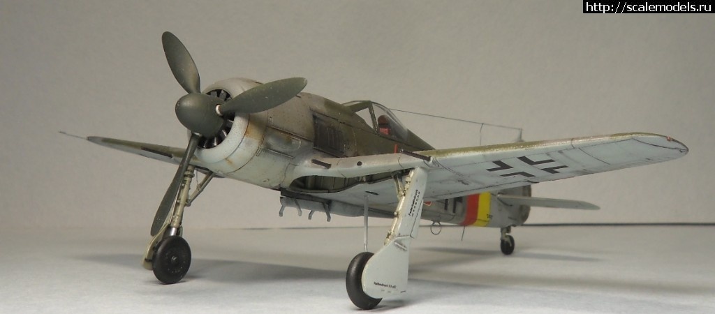 1550177891_SAM_6162.JPG : #1536480/ Fw-190 A-8 1/72 Eduard -   