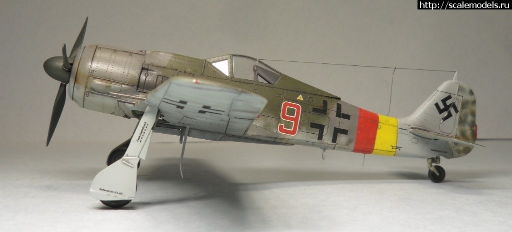 1550177892_SAM_6163.JPG : #1536480/ Fw-190 A-8 1/72 Eduard -   