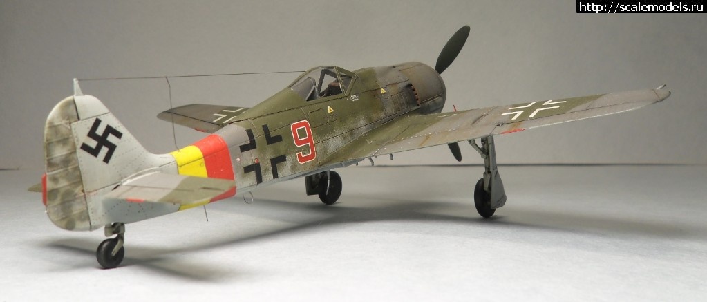 1550177893_SAM_6167.JPG : #1536480/ Fw-190 A-8 1/72 Eduard -   