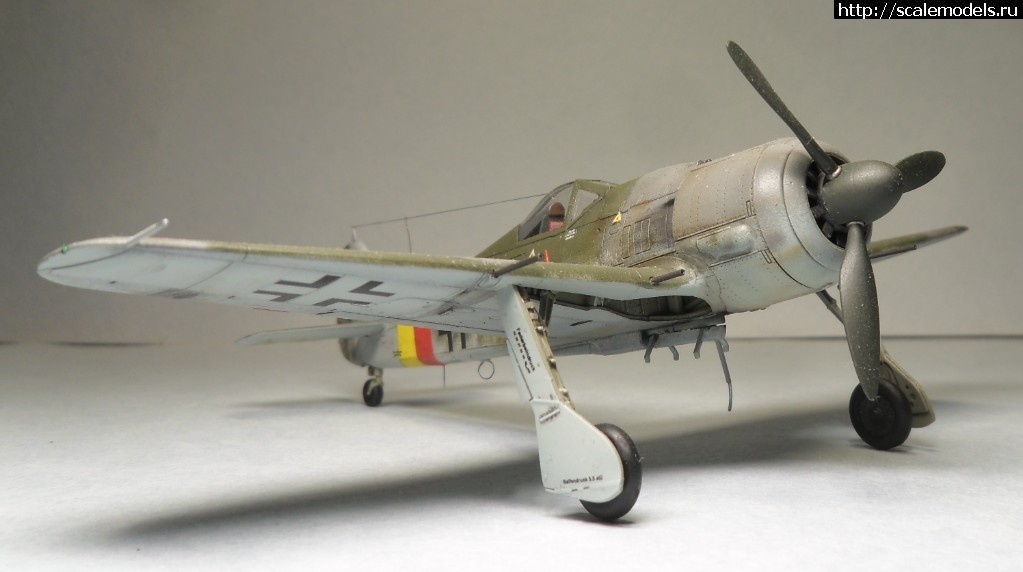 1550177894_SAM_6169.JPG : #1536480/ Fw-190 A-8 1/72 Eduard -   