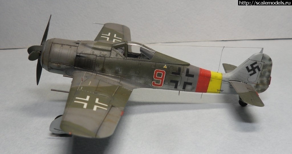 1550359760_1550177888_SAM_6154.JPG :      - 1/72 Fw 190  