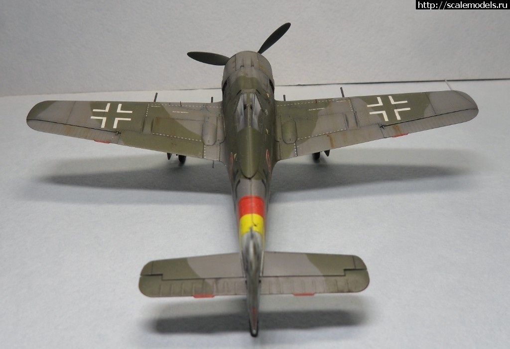 1550359761_1550177889_SAM_6156.JPG :      - 1/72 Fw 190  