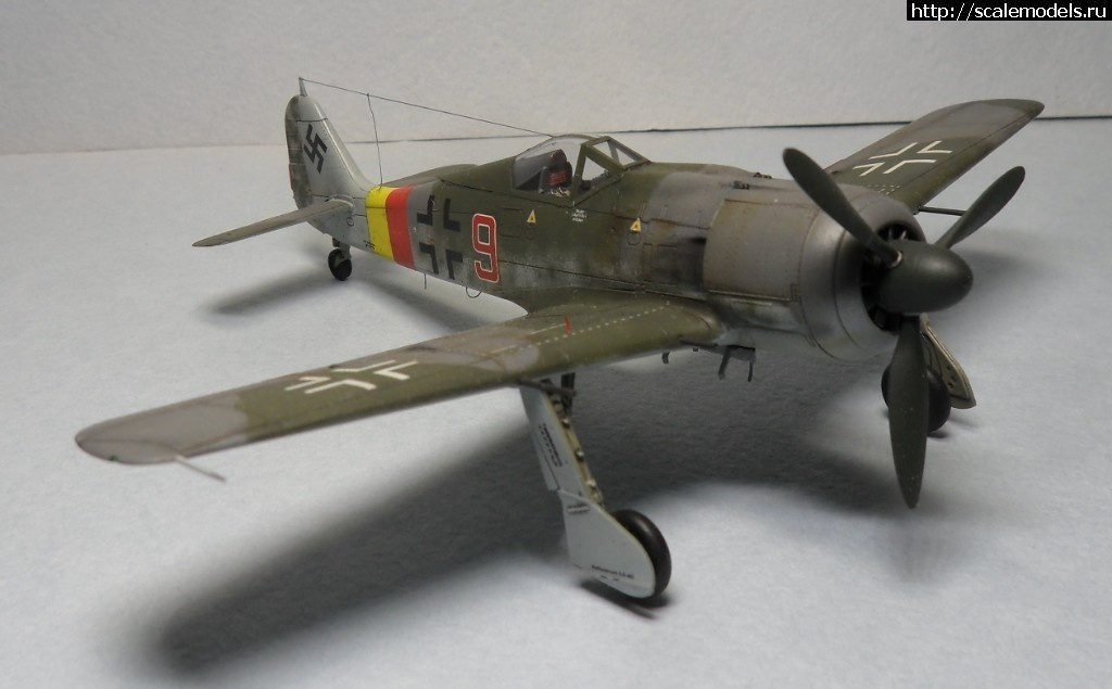 1550359762_1550177890_SAM_6159.JPG :      - 1/72 Fw 190  