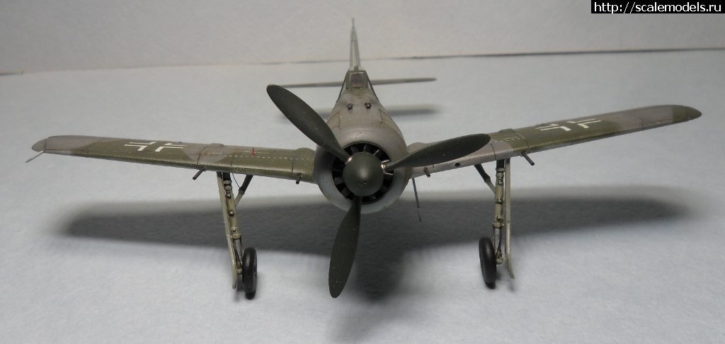 1550359763_1550177891_SAM_6160.JPG :      - 1/72 Fw 190  