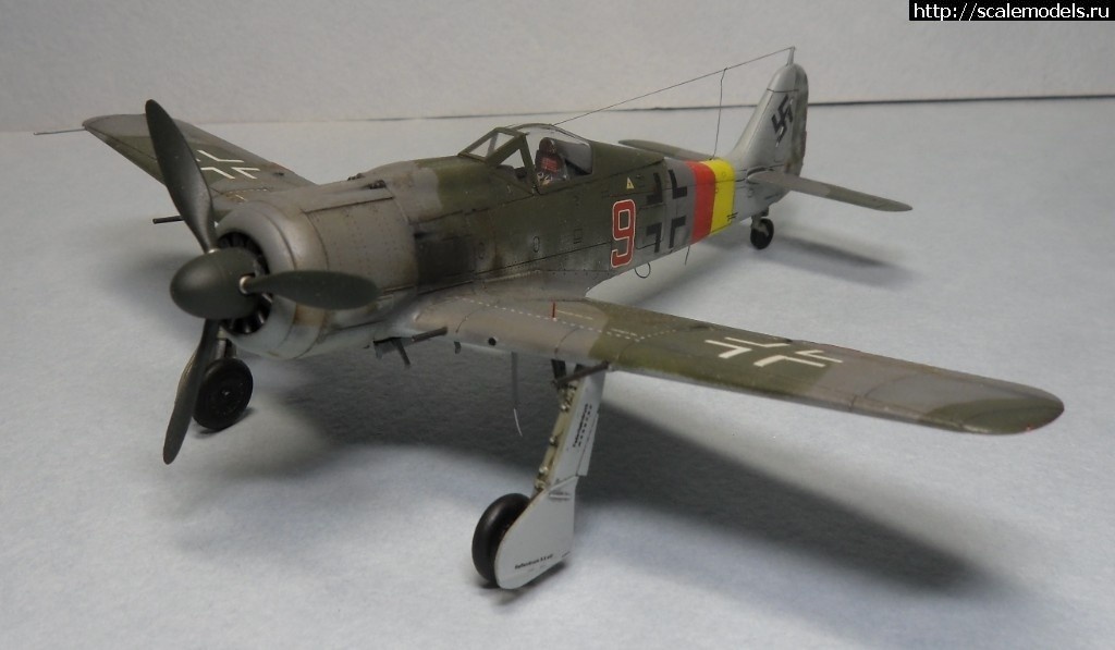 1550359763_1550177891_SAM_6161.JPG :      - 1/72 Fw 190  