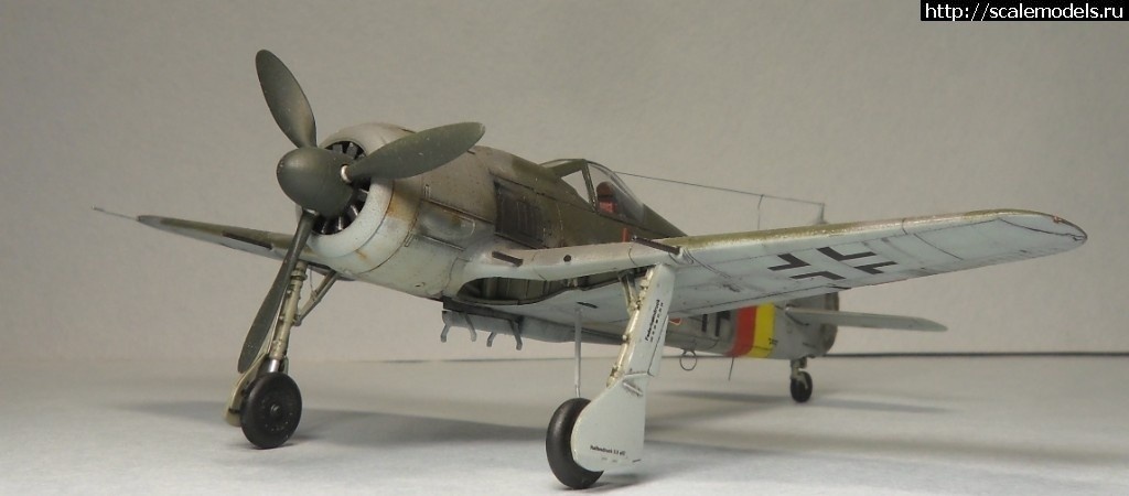 1550359763_1550177891_SAM_6162.JPG :      - 1/72 Fw 190  