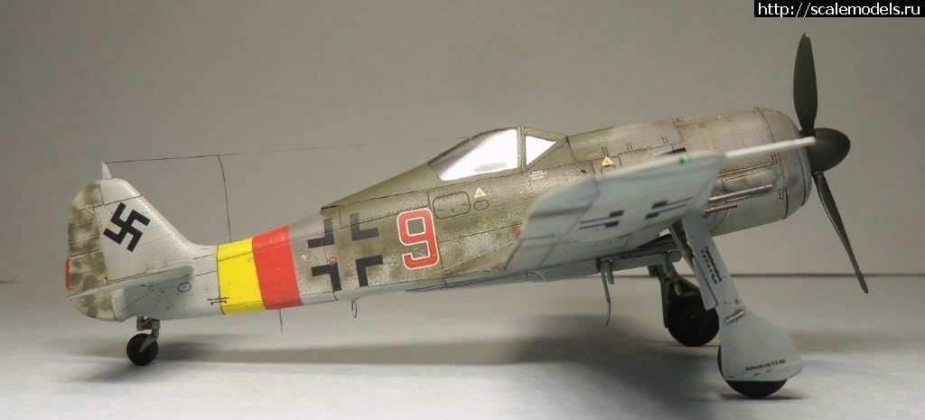 1550359765_1550177893_SAM_6168.JPG :      - 1/72 Fw 190  