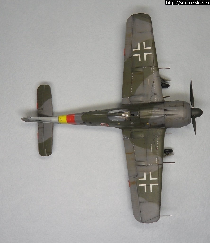 1550359765_1550177894_SAM_6171.JPG :      - 1/72 Fw 190  