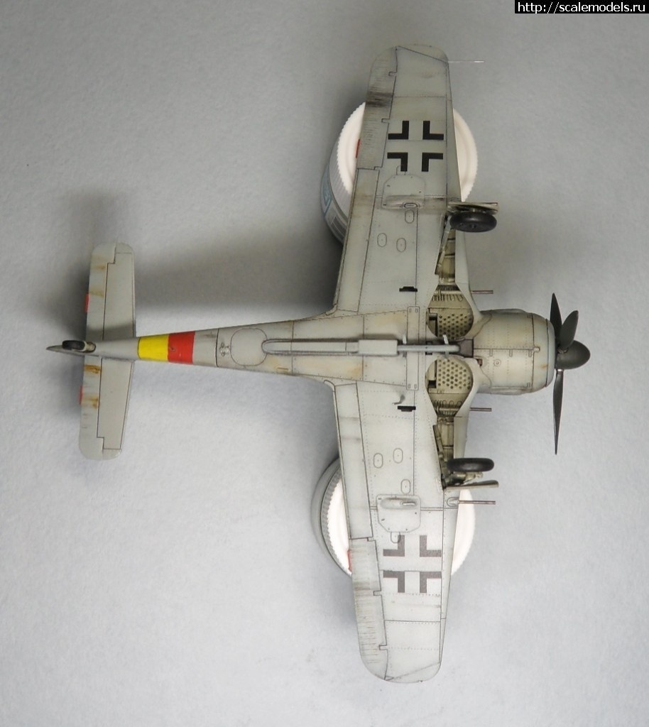 1550359766_1550177895_SAM_6175.JPG :      - 1/72 Fw 190  