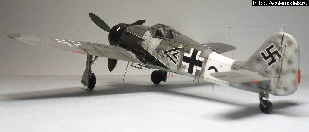 1550359793_1550176397_SAM_6459.JPG :      - 1/72 Fw 190  