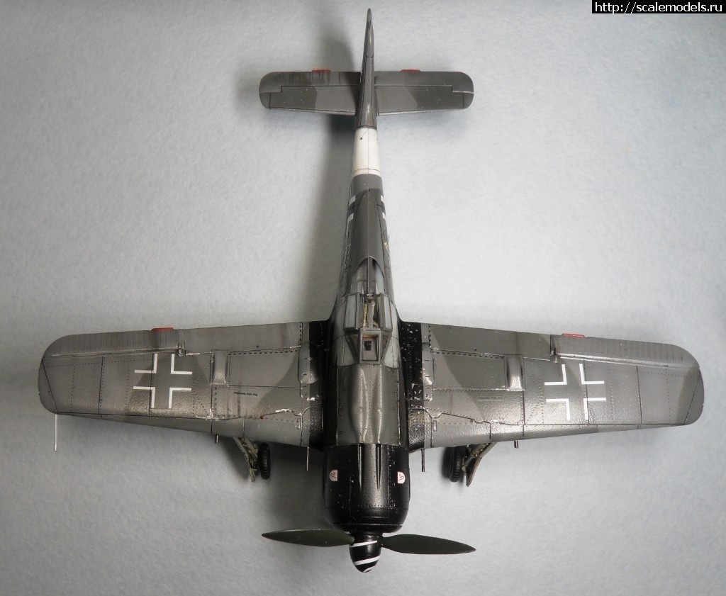 1550359795_1550176400_SAM_6466.JPG :      - 1/72 Fw 190  