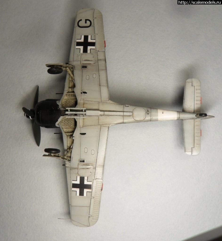 1550359796_1550176401_SAM_6469.JPG :      - 1/72 Fw 190  