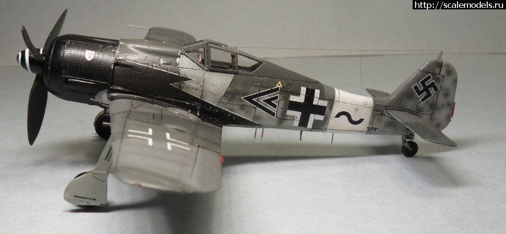 1550359796_1550176401_SAM_6485.JPG :      - 1/72 Fw 190  