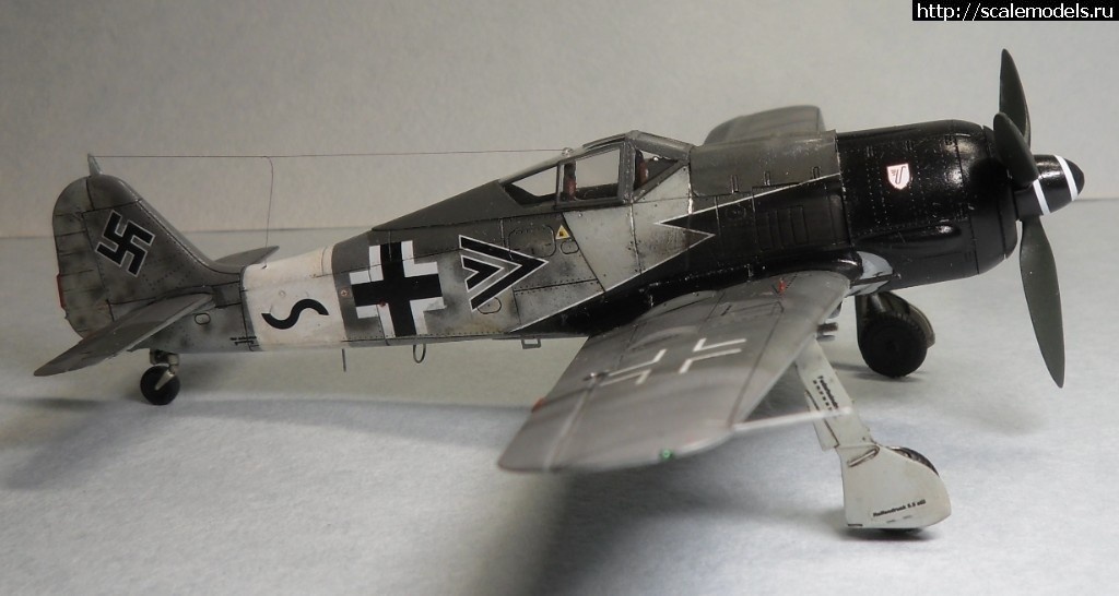 1550359798_1550176402_SAM_6493.JPG :      - 1/72 Fw 190  