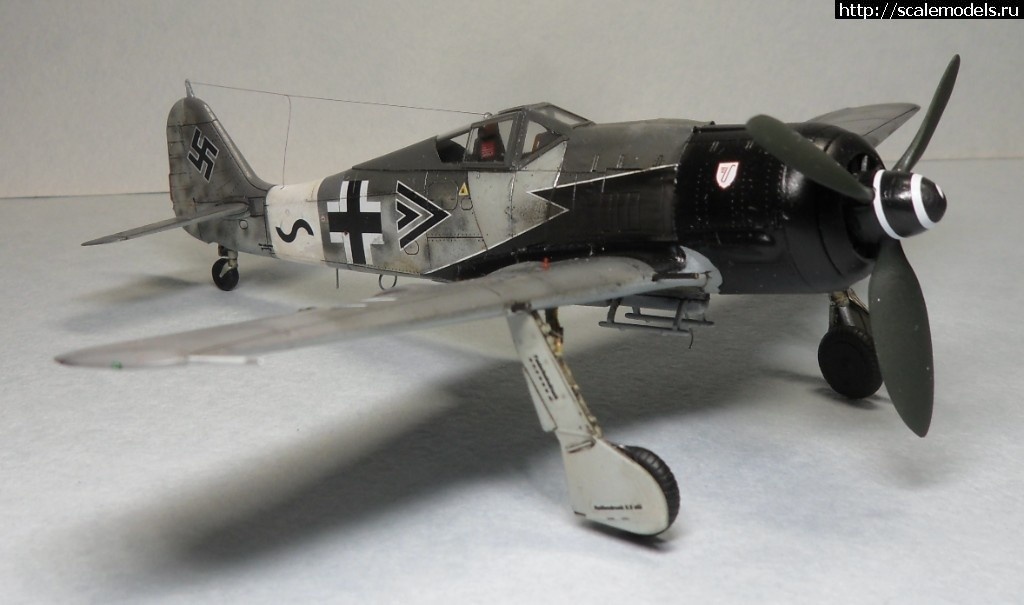 1550359799_1550176402_SAM_6495.JPG :      - 1/72 Fw 190  