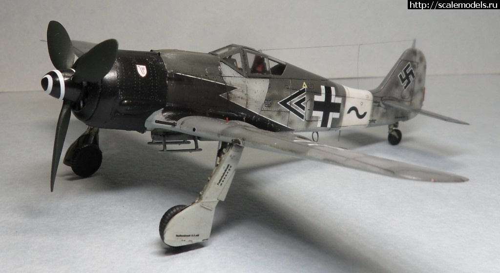 1550359799_1550176403_SAM_6497.JPG :      - 1/72 Fw 190  