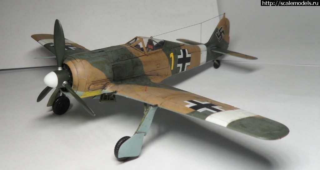 1550359836_1527283061_2.jpg :      - 1/72 Fw 190  