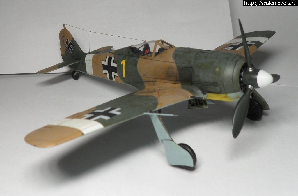 1550359836_1527283061_3.jpg :      - 1/72 Fw 190  